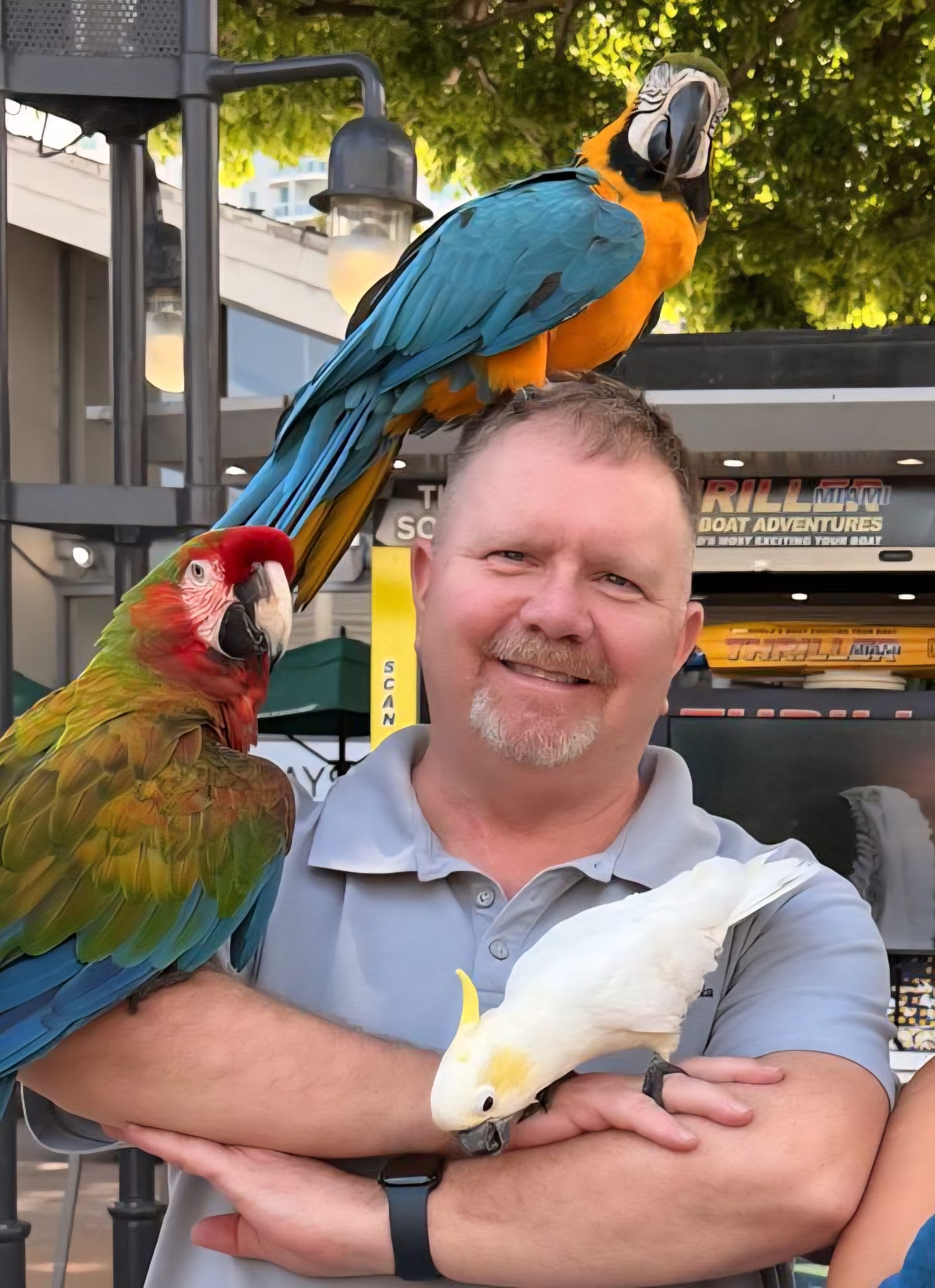 Mark with parrots
